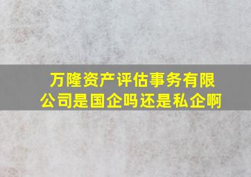 万隆资产评估事务有限公司是国企吗还是私企啊