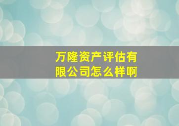 万隆资产评估有限公司怎么样啊