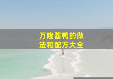 万隆酱鸭的做法和配方大全