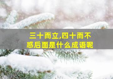 三十而立,四十而不惑后面是什么成语呢