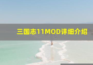 三国志11MOD详细介绍