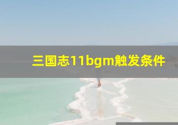 三国志11bgm触发条件