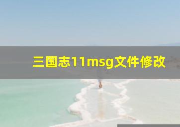 三国志11msg文件修改