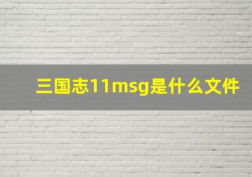 三国志11msg是什么文件