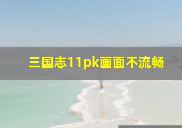 三国志11pk画面不流畅