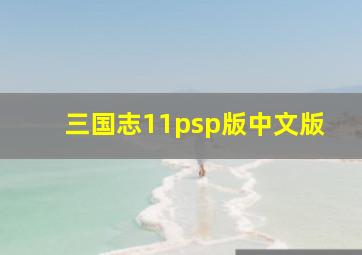 三国志11psp版中文版