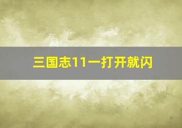 三国志11一打开就闪