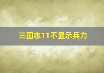 三国志11不显示兵力