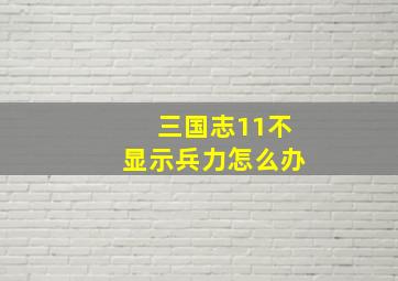 三国志11不显示兵力怎么办