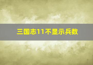 三国志11不显示兵数