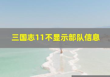 三国志11不显示部队信息