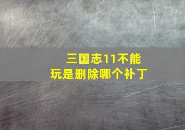 三国志11不能玩是删除哪个补丁