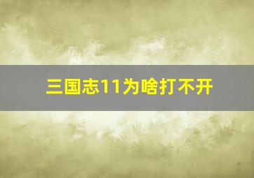 三国志11为啥打不开