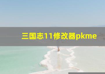 三国志11修改器pkme