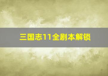 三国志11全剧本解锁