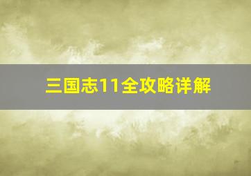 三国志11全攻略详解