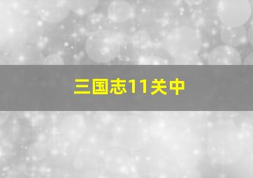 三国志11关中