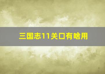 三国志11关口有啥用