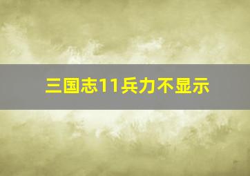 三国志11兵力不显示