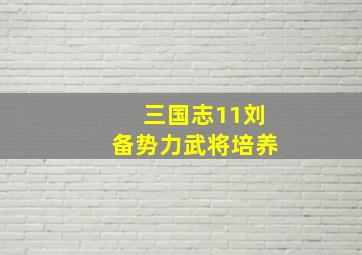 三国志11刘备势力武将培养