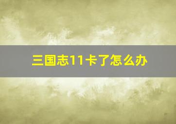 三国志11卡了怎么办