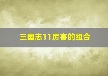 三国志11厉害的组合