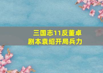 三国志11反董卓剧本袁绍开局兵力