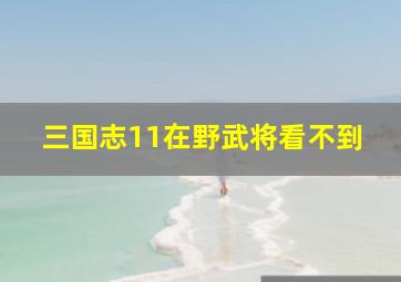 三国志11在野武将看不到