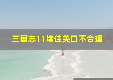 三国志11堵住关口不合理