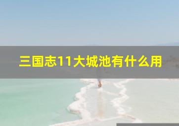 三国志11大城池有什么用