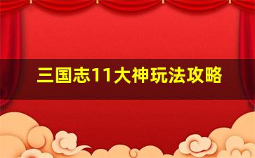 三国志11大神玩法攻略