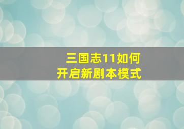 三国志11如何开启新剧本模式