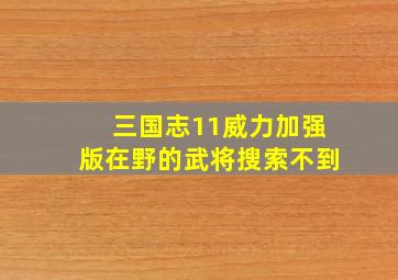 三国志11威力加强版在野的武将搜索不到