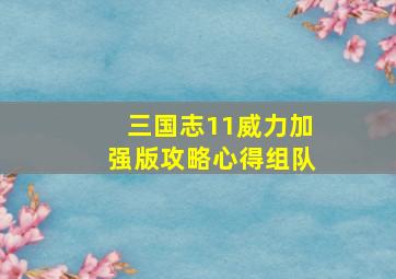 三国志11威力加强版攻略心得组队