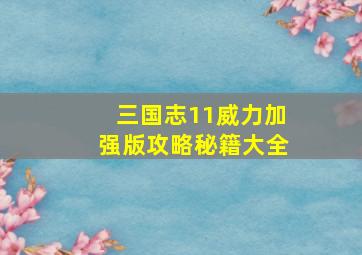 三国志11威力加强版攻略秘籍大全