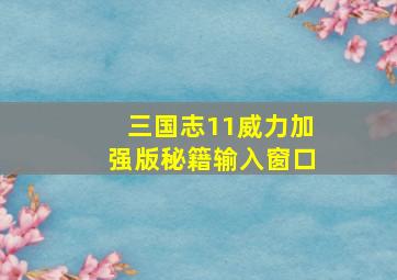 三国志11威力加强版秘籍输入窗口