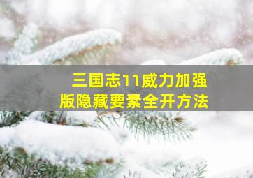 三国志11威力加强版隐藏要素全开方法