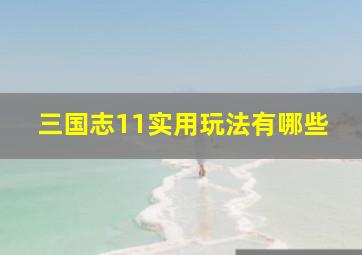 三国志11实用玩法有哪些