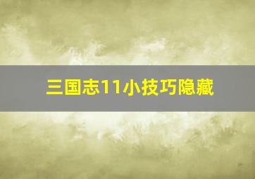 三国志11小技巧隐藏