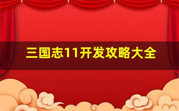 三国志11开发攻略大全