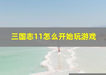 三国志11怎么开始玩游戏