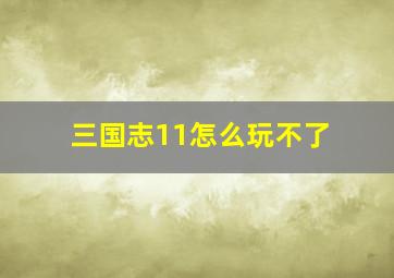 三国志11怎么玩不了