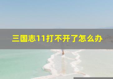 三国志11打不开了怎么办