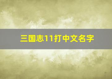 三国志11打中文名字