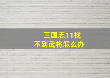 三国志11找不到武将怎么办