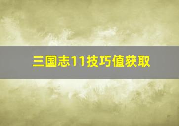 三国志11技巧值获取