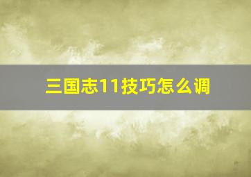 三国志11技巧怎么调