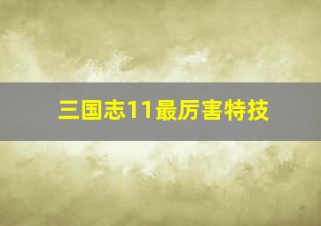 三国志11最厉害特技