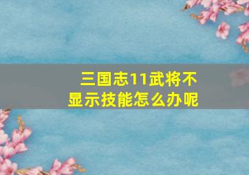 三国志11武将不显示技能怎么办呢