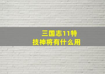 三国志11特技神将有什么用